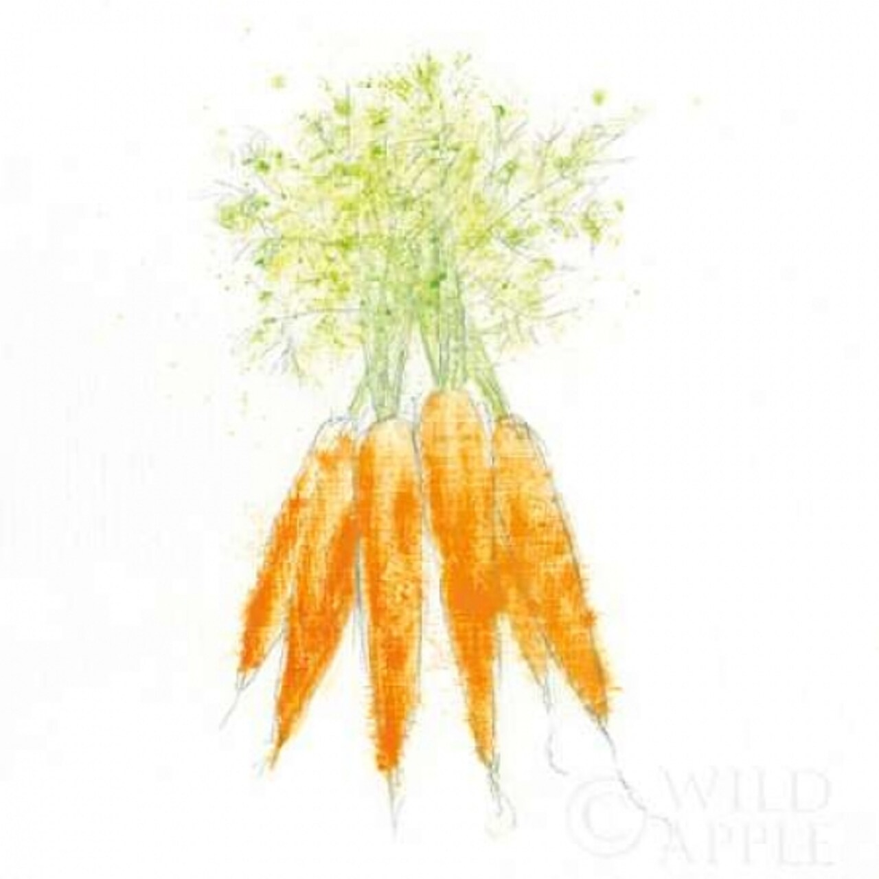 Garden Delight VIII Poster Print by Emily Adams - Item # VARPDX24841